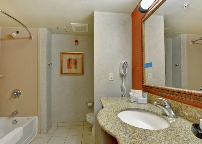 Hotel Hampton And At Grand Prairie 3*